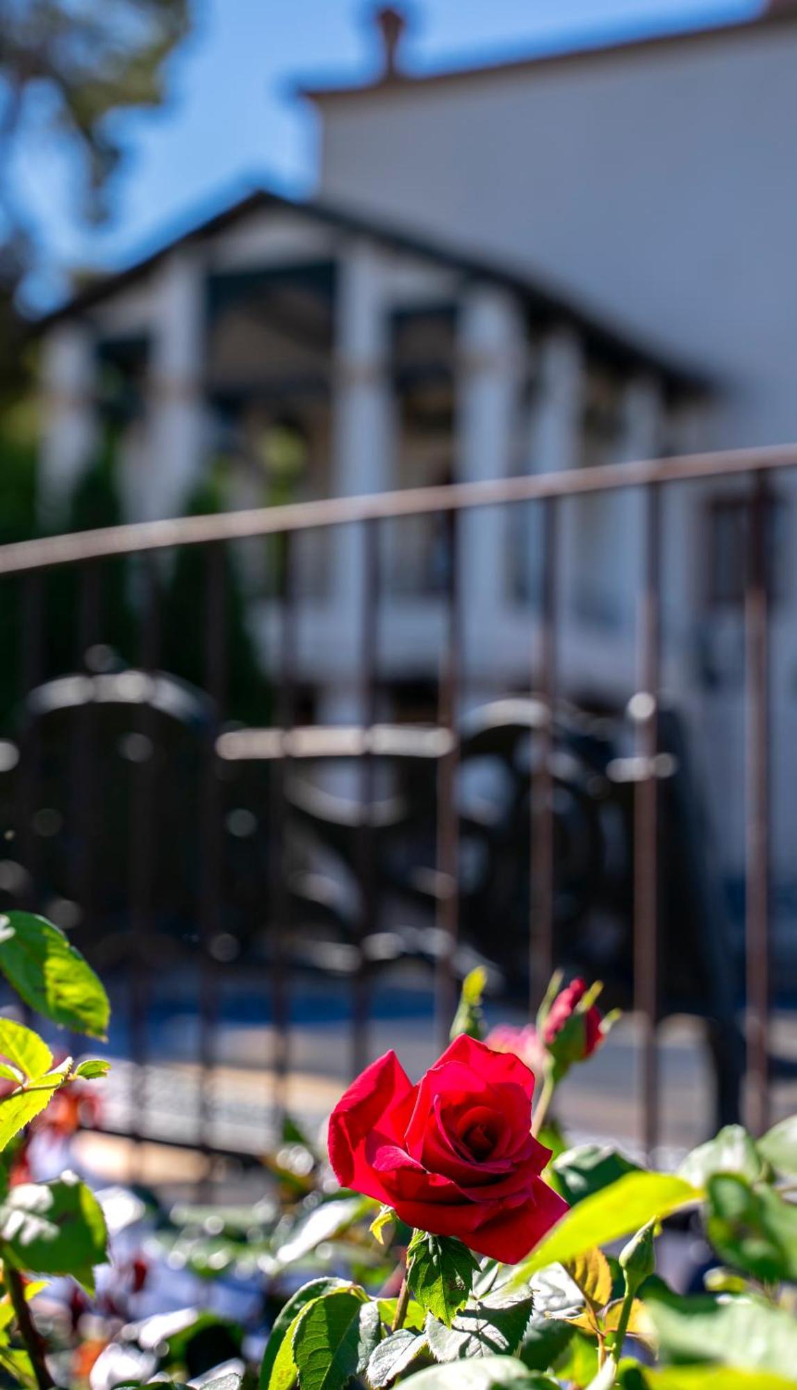 Eco Hotel Con Encanto Masia La Mota B&B Alcoy Exterior photo
