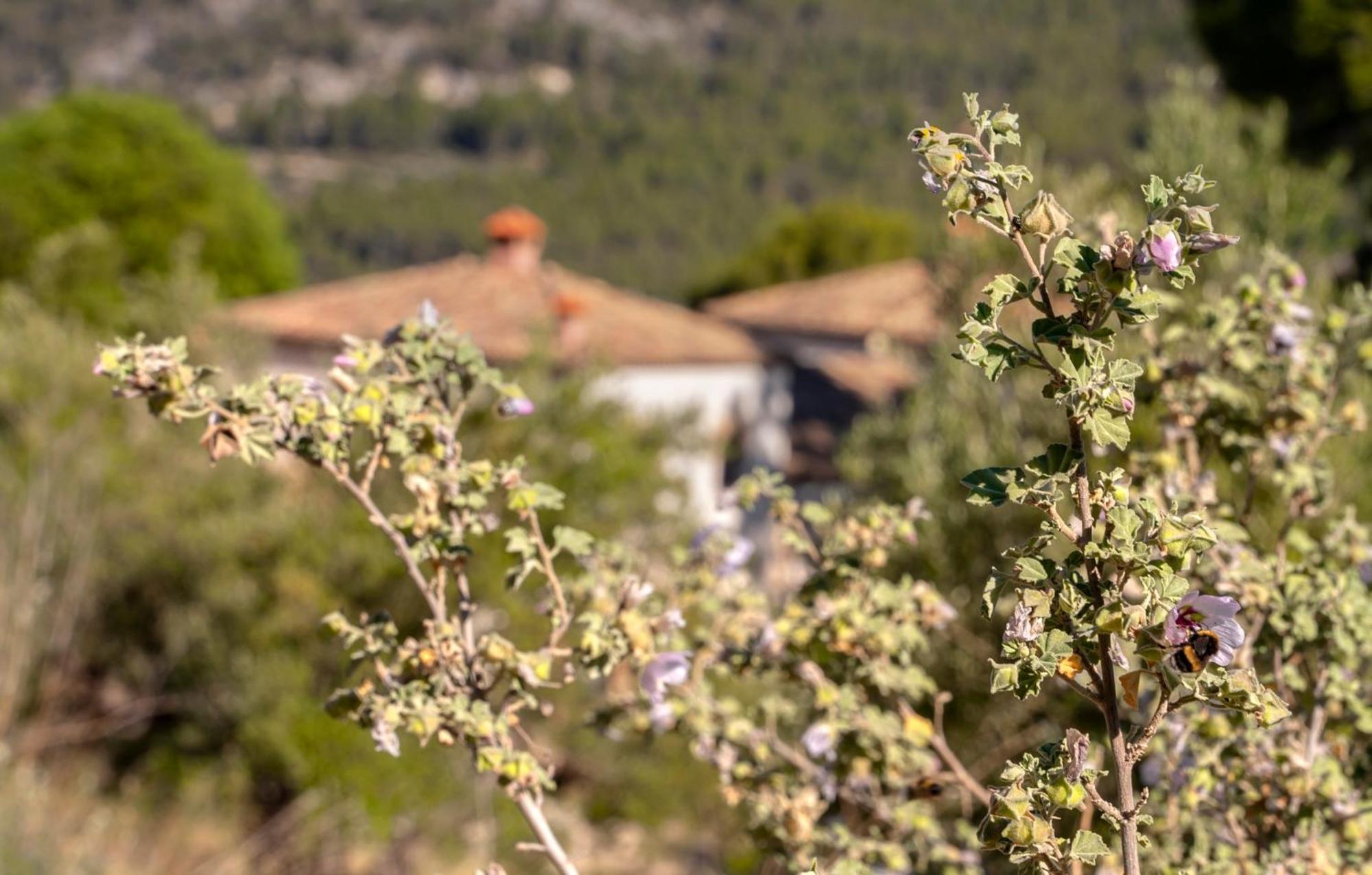 Eco Hotel Con Encanto Masia La Mota B&B Alcoy Exterior photo